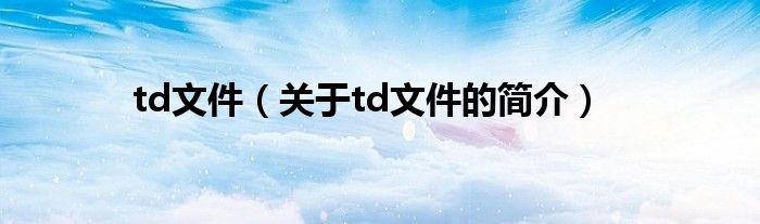 td文件（关于td文件的简介）