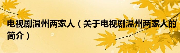 电视剧温州两家人（关于电视剧温州两家人的简介）