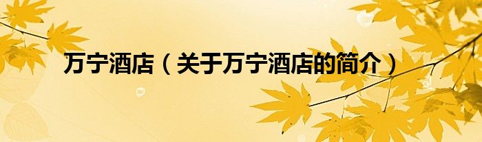 万宁酒店（关于万宁酒店的简介）