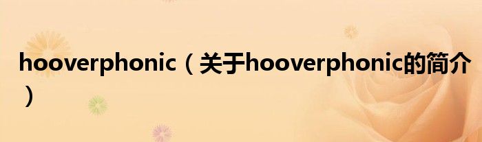 hooverphonic（关于hooverphonic的简介）