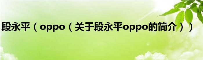 段永平（oppo（关于段永平oppo的简介））