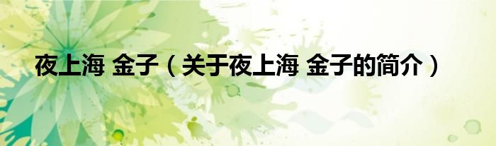 夜上海 金子（关于夜上海 金子的简介）