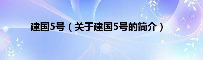 建国5号（关于建国5号的简介）