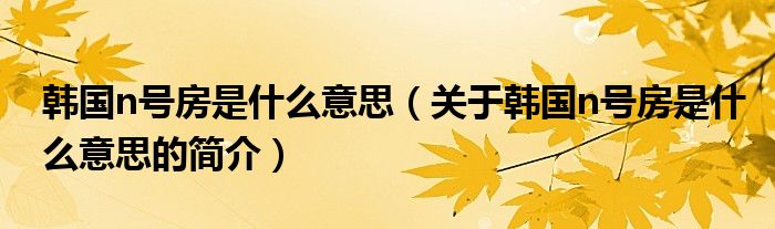 韩国n号房是什么意思（关于韩国n号房是什么意思的简介）