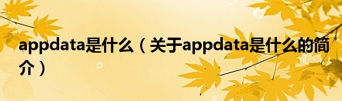 appdata是什么（关于appdata是什么的简介）