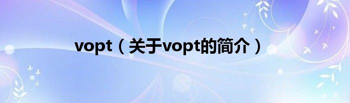 vopt（关于vopt的简介）