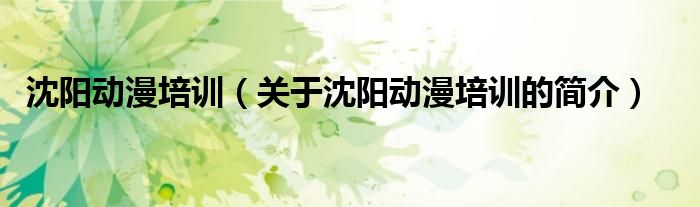 沈阳动漫培训（关于沈阳动漫培训的简介）