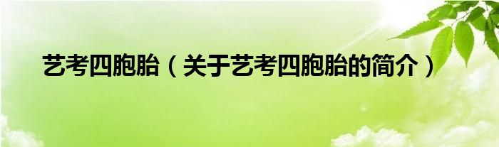 艺考四胞胎（关于艺考四胞胎的简介）