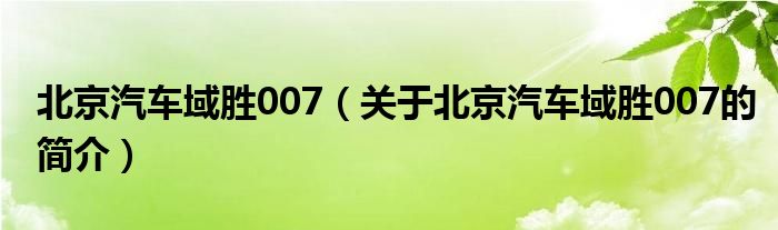 北京汽车域胜007（关于北京汽车域胜007的简介）