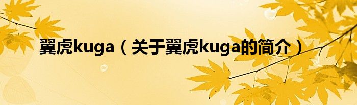 翼虎kuga（关于翼虎kuga的简介）