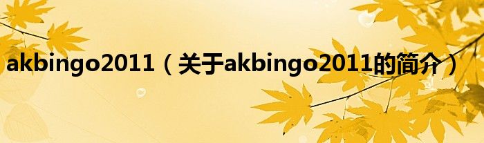 akbingo2011（关于akbingo2011的简介）