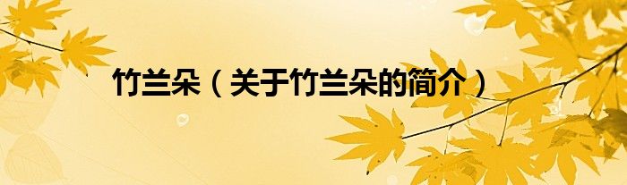 竹兰朵（关于竹兰朵的简介）