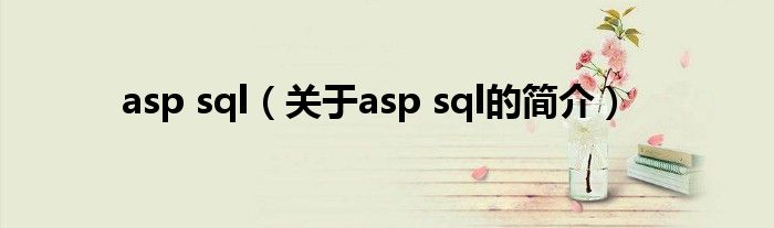asp sql（关于asp sql的简介）