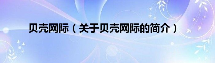 贝壳网际（关于贝壳网际的简介）