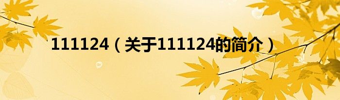 111124（关于111124的简介）