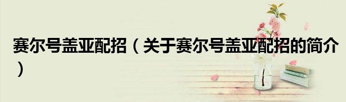 赛尔号盖亚配招（关于赛尔号盖亚配招的简介）
