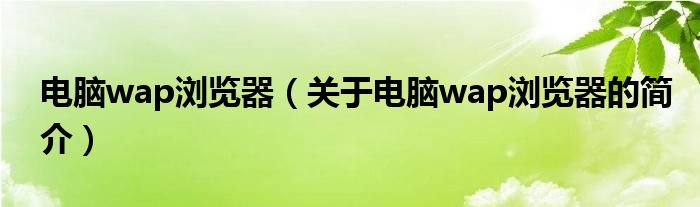 电脑wap浏览器（关于电脑wap浏览器的简介）