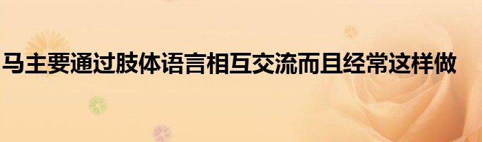 马主要通过肢体语言相互交流而且经常这样做