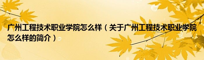 广州工程技术职业学院怎么样（关于广州工程技术职业学院怎么样的简介）