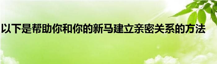 以下是帮助你和你的新马建立亲密关系的方法