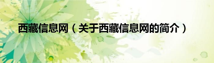 西藏信息网（关于西藏信息网的简介）