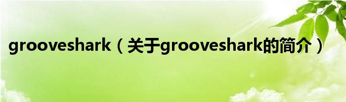 grooveshark（关于grooveshark的简介）