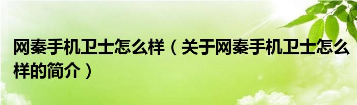 网秦手机卫士怎么样（关于网秦手机卫士怎么样的简介）