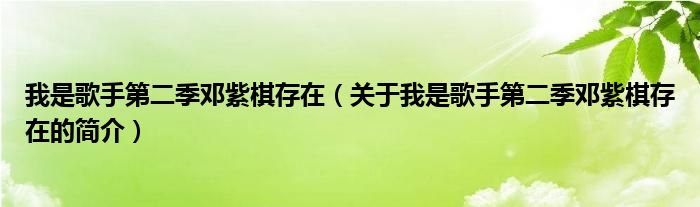 我是歌手第二季邓紫棋存在（关于我是歌手第二季邓紫棋存在的简介）