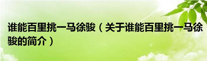 谁能百里挑一马徐骏（关于谁能百里挑一马徐骏的简介）