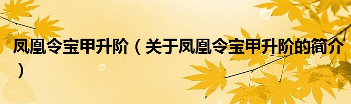 凤凰令宝甲升阶（关于凤凰令宝甲升阶的简介）