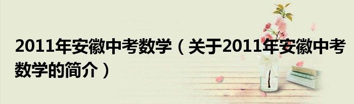 2011年安徽中考数学（关于2011年安徽中考数学的简介）