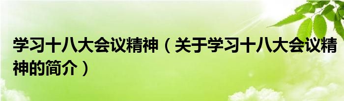 学习十八大会议精神（关于学习十八大会议精神的简介）