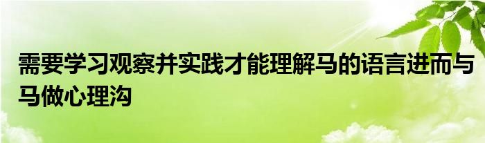 需要学习观察并实践才能理解马的语言进而与马做心理沟