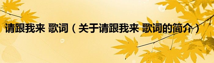 请跟我来 歌词（关于请跟我来 歌词的简介）