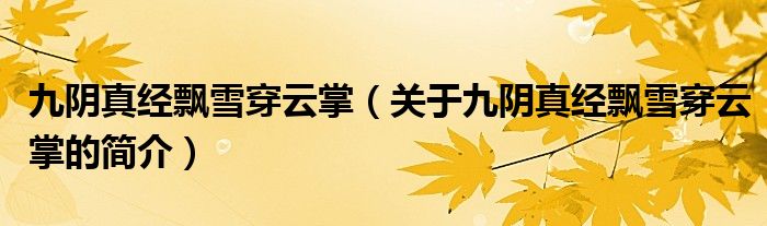 九阴真经飘雪穿云掌（关于九阴真经飘雪穿云掌的简介）