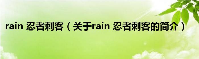 rain 忍者刺客（关于rain 忍者刺客的简介）