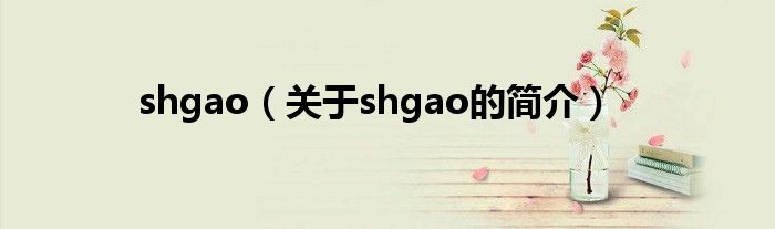 shgao（关于shgao的简介）