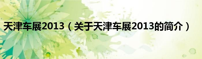 天津车展2013（关于天津车展2013的简介）