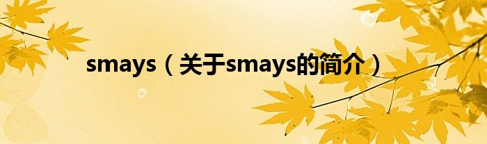 smays（关于smays的简介）