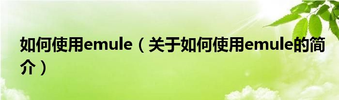 如何使用emule（关于如何使用emule的简介）