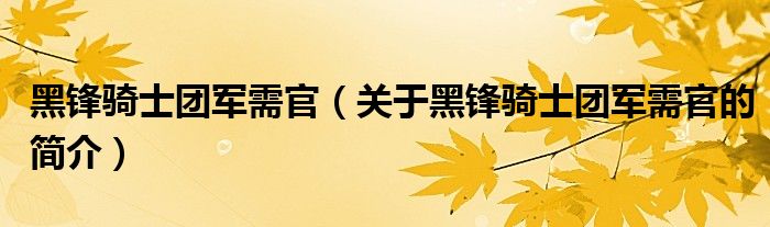 黑锋骑士团军需官（关于黑锋骑士团军需官的简介）