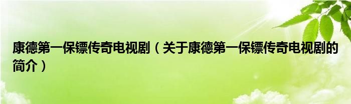 康德第一保镖传奇电视剧（关于康德第一保镖传奇电视剧的简介）