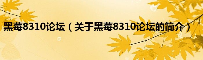 黑莓8310论坛（关于黑莓8310论坛的简介）