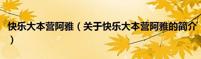 快乐大本营阿雅（关于快乐大本营阿雅的简介）