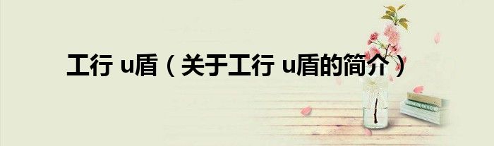 工行 u盾（关于工行 u盾的简介）