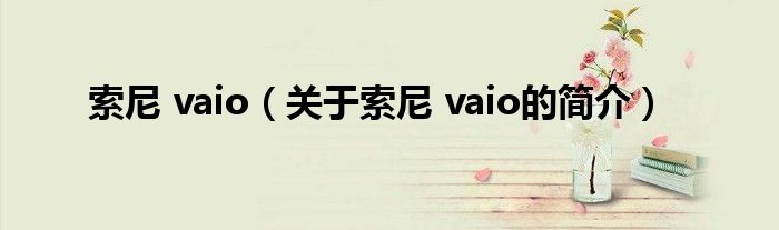 索尼 vaio（关于索尼 vaio的简介）