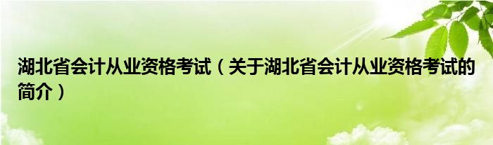 湖北省会计从业资格考试（关于湖北省会计从业资格考试的简介）