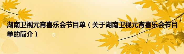 湖南卫视元宵喜乐会节目单（关于湖南卫视元宵喜乐会节目单的简介）