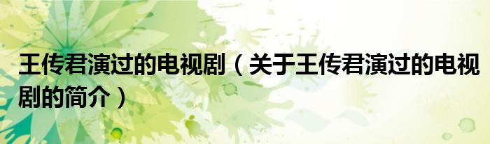 王传君演过的电视剧（关于王传君演过的电视剧的简介）