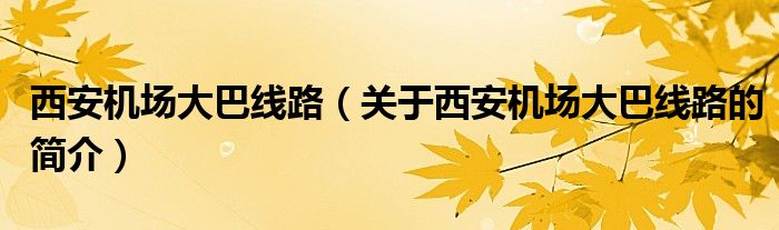 西安机场大巴线路（关于西安机场大巴线路的简介）